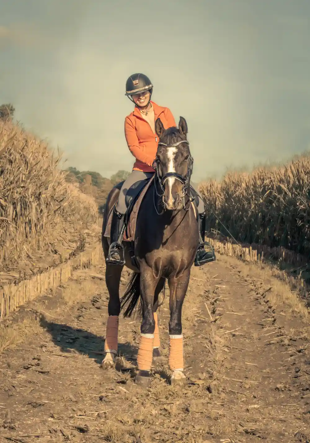 IMG_4778-Enhanced-NR