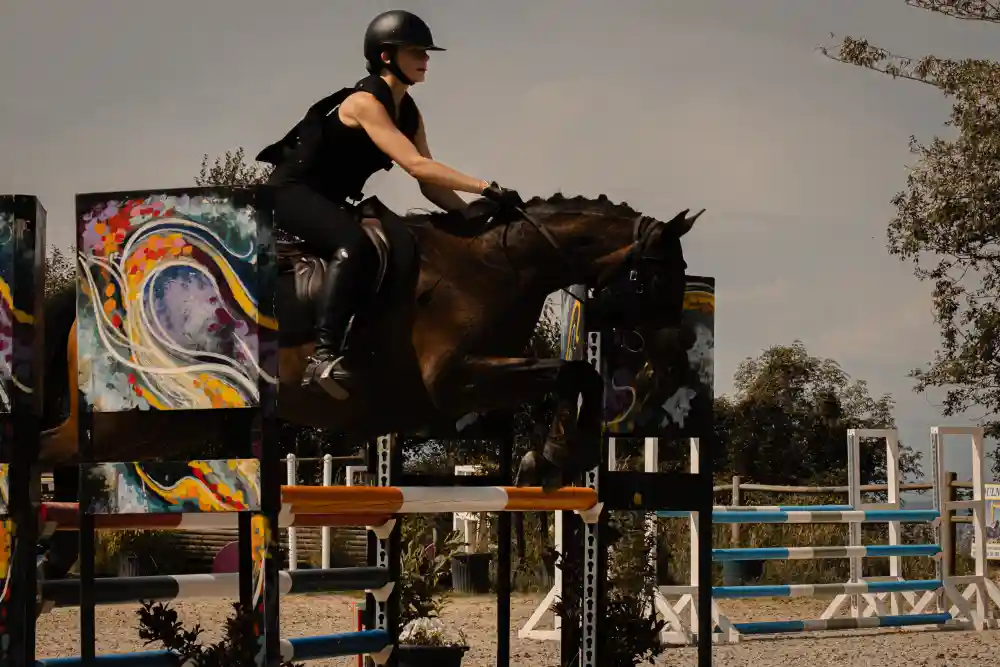 IMG_0811-Enhanced-NR